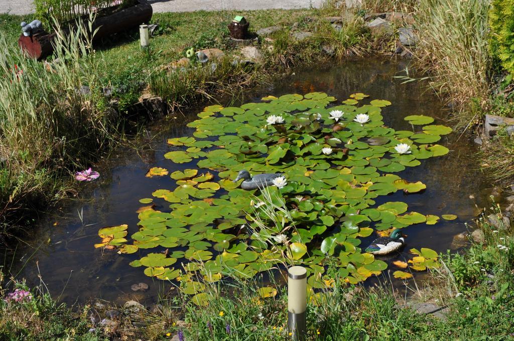 Cabana Claris Ferencfalva Kültér fotó